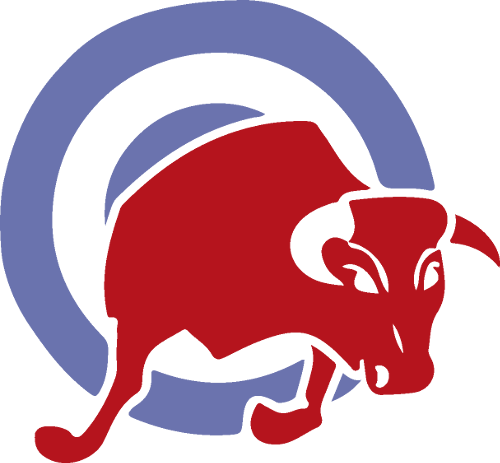 BullsEye Logo